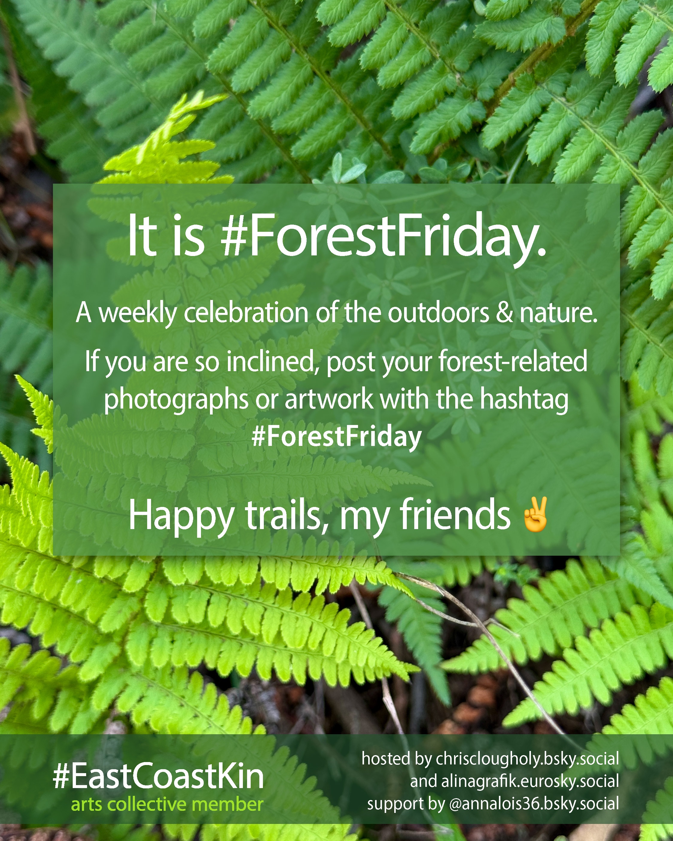 The banner for #ForestFriday is a photo of fern fronds in various shades of green. The text says, "It is #ForestFriday. A weekly celebration of the outdoors & nature. If you are so inclined, post your forest-related photographs or artwork with the hashtag #ForestFriday. Happy trails, my friends."