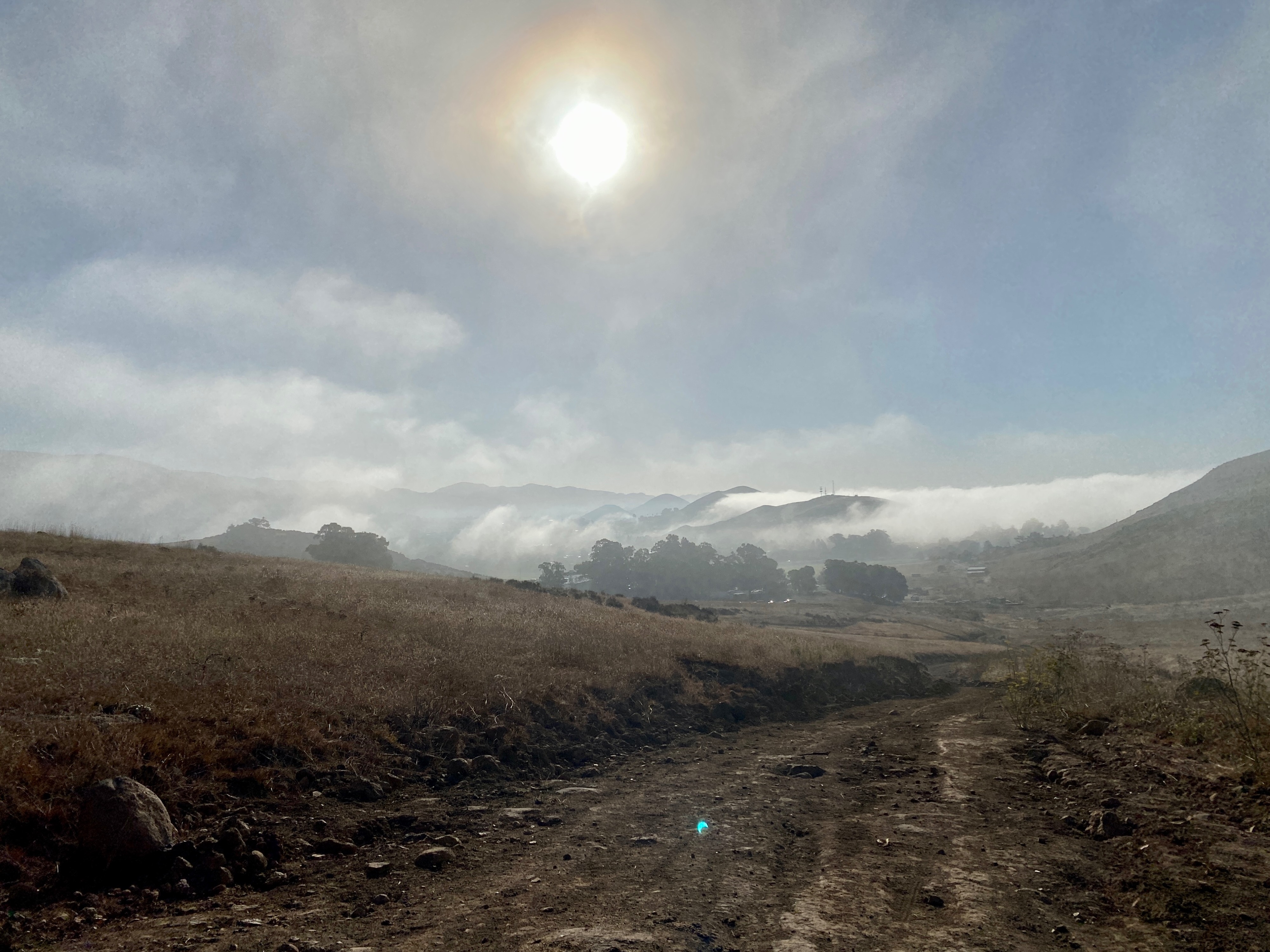 A rocky dirt road that winds through dry, brown brush and down the hill into the distance is illuminated by eerie, yellow-green light due to a partial solar eclipse and patchy fog. In the distance are hills with fog rolling over their tops and into valleys. The photo is shot directly into the sun. San Luis Obispo, California, October 2023.