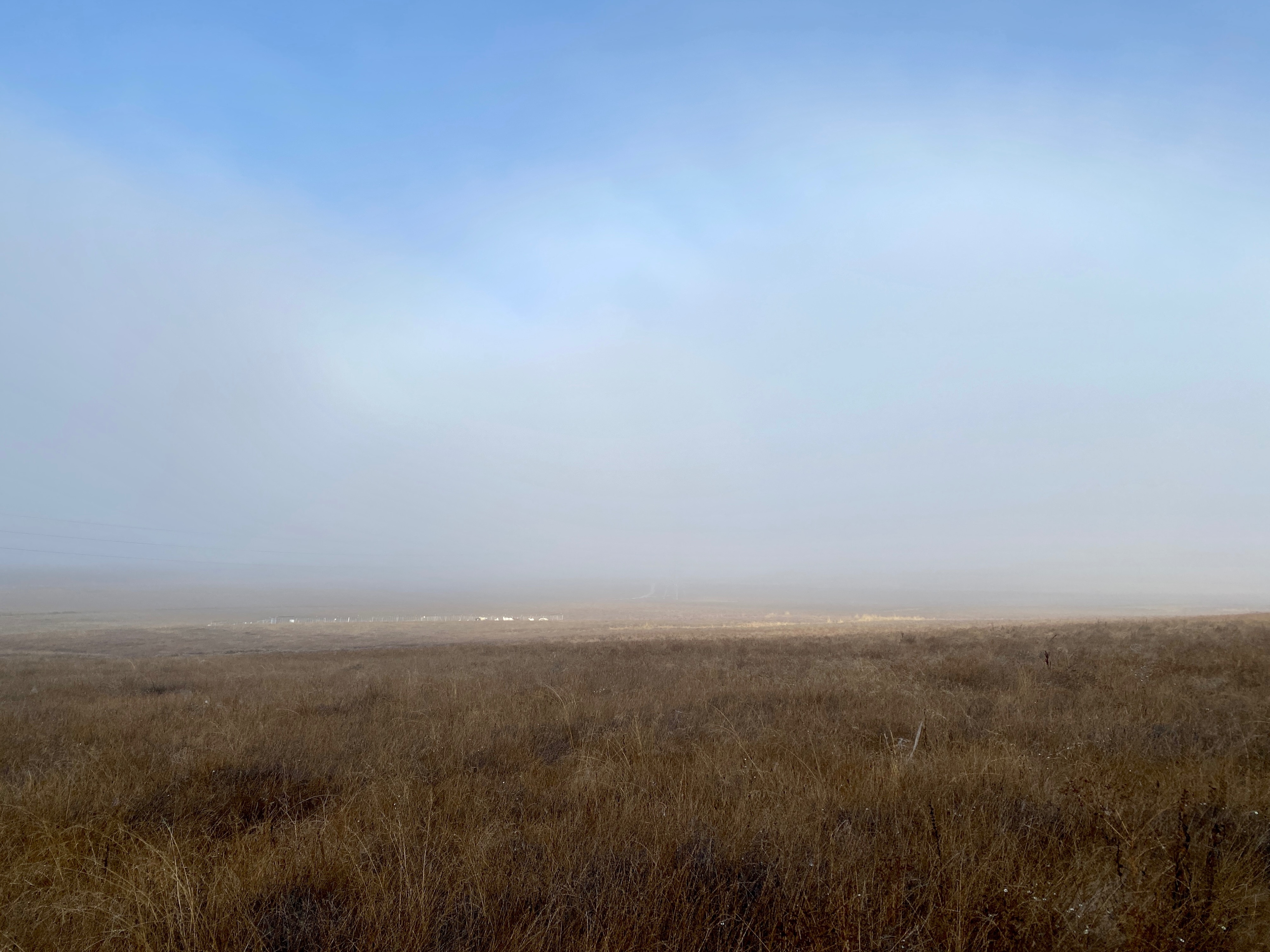 A vast dry, brown field with morning fog hovering. The field occupies the lower 3/8 of the image, while the rest of the image is ethereal fog and blue sky with just a hint of sunlight. Laguna Lake Open Space, San Luis Obispo, California