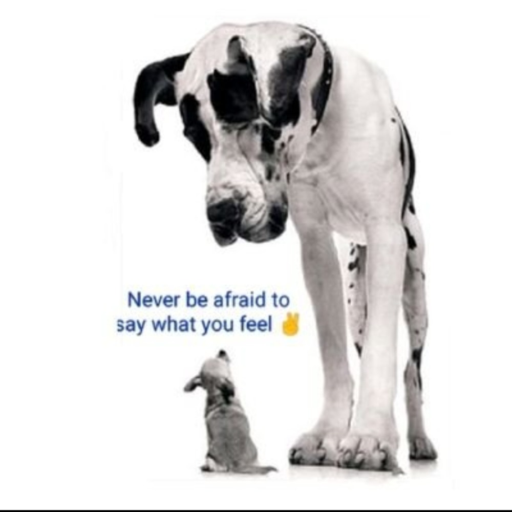 muschelschloss.eurosky.social@bsky.brid.gy