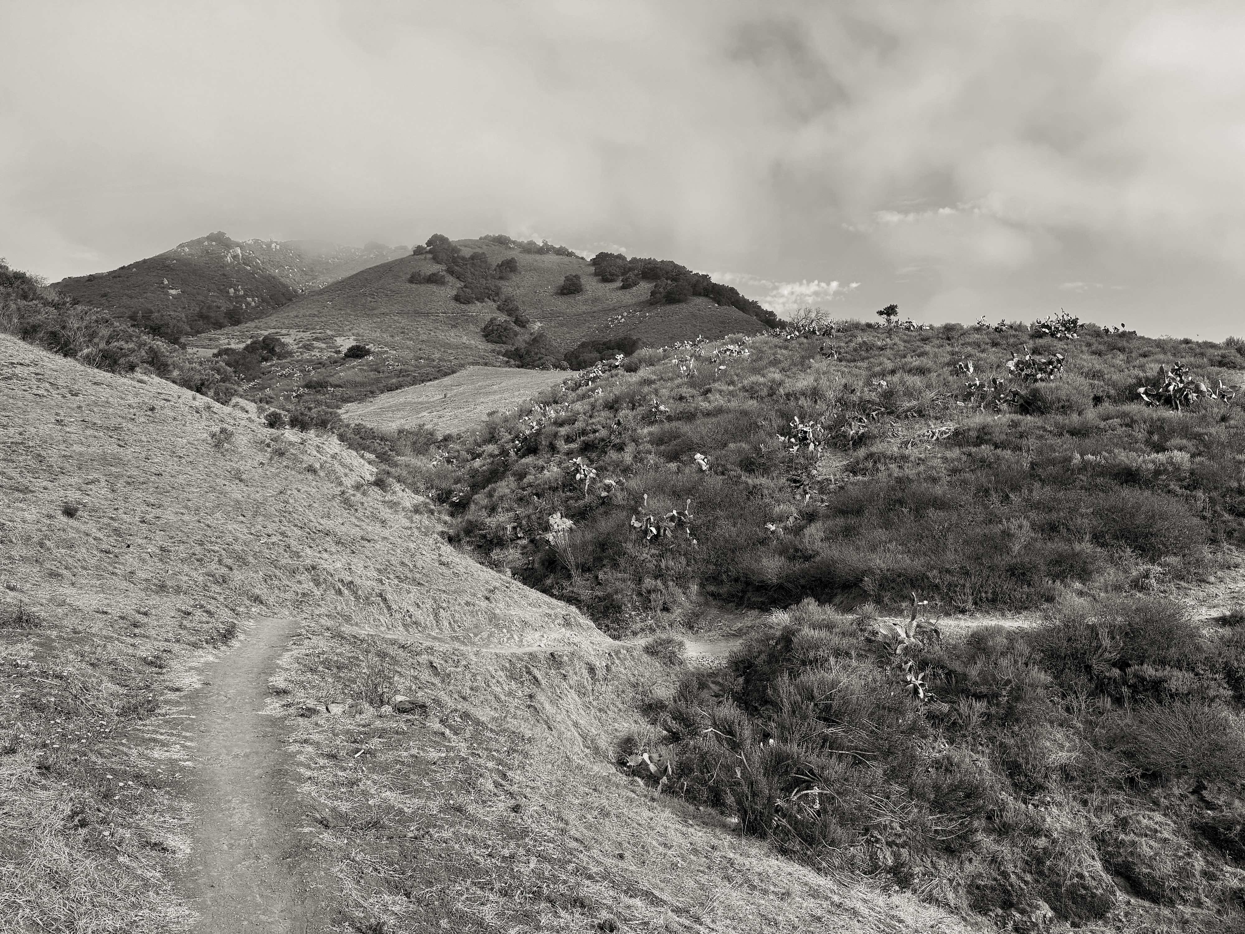 Black and white image of a hiking trail on the steep sides of Cerro San Luis mountain in San Luis Obispo, California. In the left foreground, the terrain is low, sparse grass. Further up the trail to the right, the landscape turns to taller, bushier shrubs and prickly pear cactuses. There are layers of hills ascending to the peak which is obscured by morning fog.