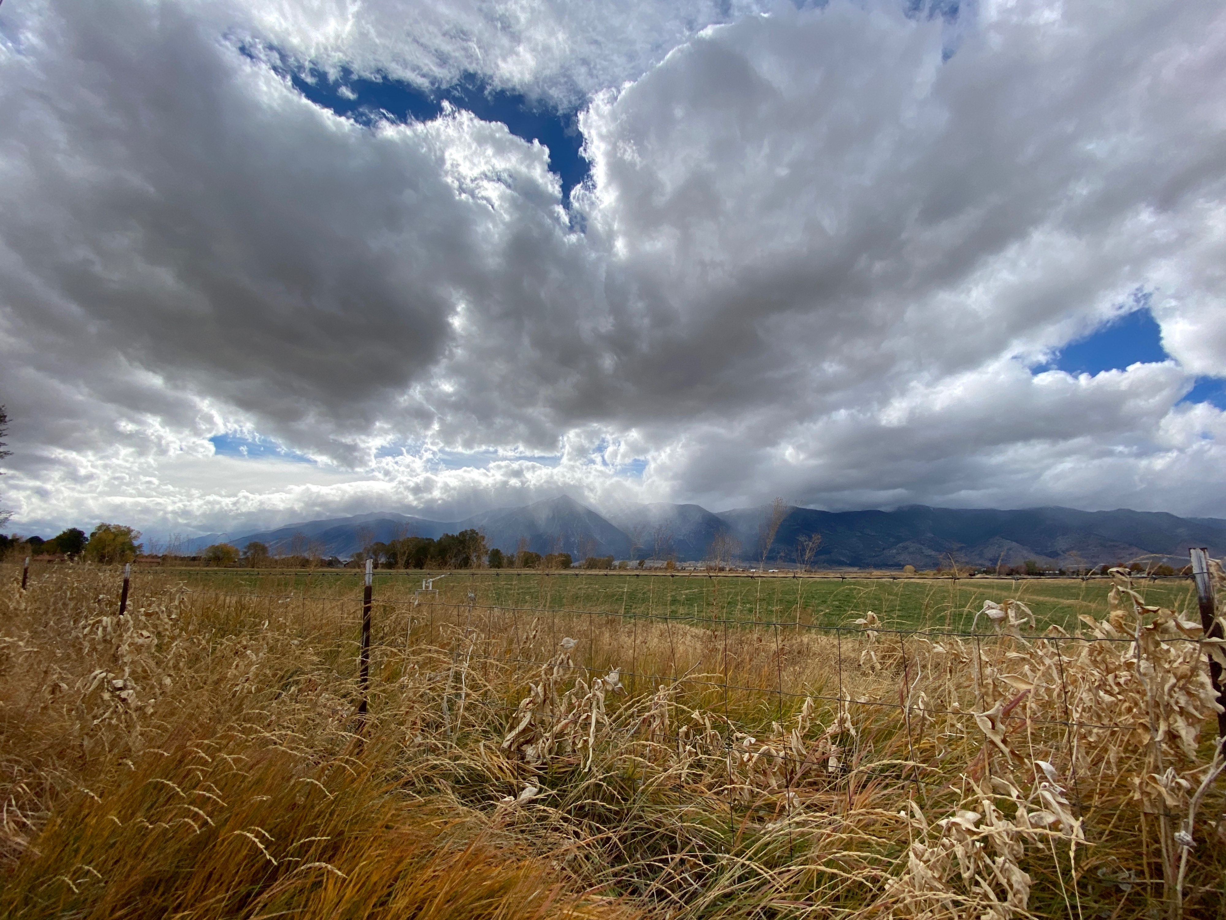 Dramatic storm clouds fill half the image hanging over the Sierra Nevada mountains and Carson Valley in Nevada. The clouds are raining over the mountains in the distance. In the foreground is an open field that is long golden grass and green pasture. The image is very intense with the light and dark clouds, rain and vibrant colors of the field.