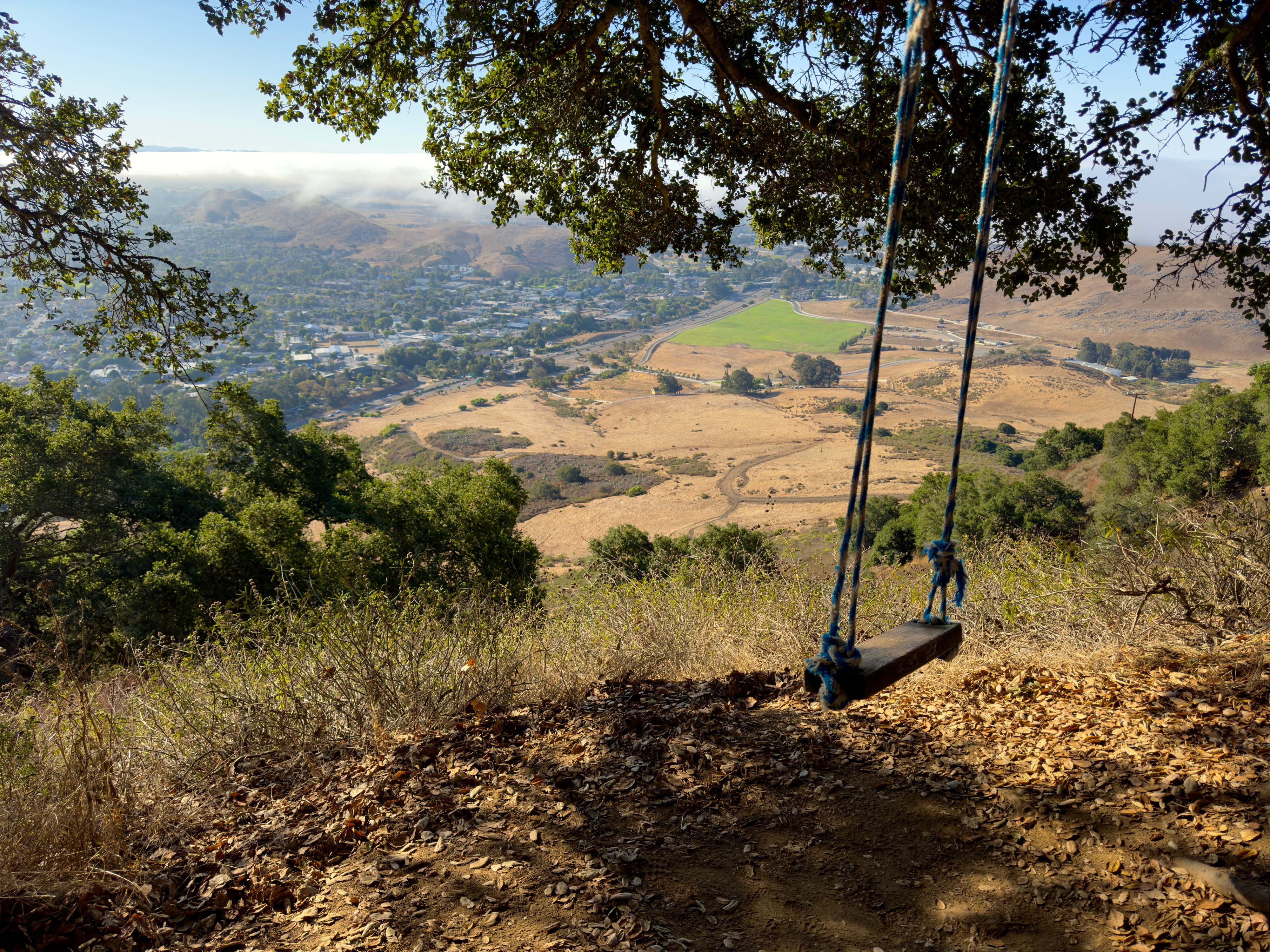 A wooden swing is hung with blue and white nylon rope from a large oak tree off a trail on Cerro San Luis Mountain. The swing and the oak tree are on the right side of the image while the distant view of the hills and city are in the center. Dried oak leaves and grasses are in the foreground under the swing with oak trees spotted on the side of the mountain. Light brown hills of dried grass are at the base of the mountain.