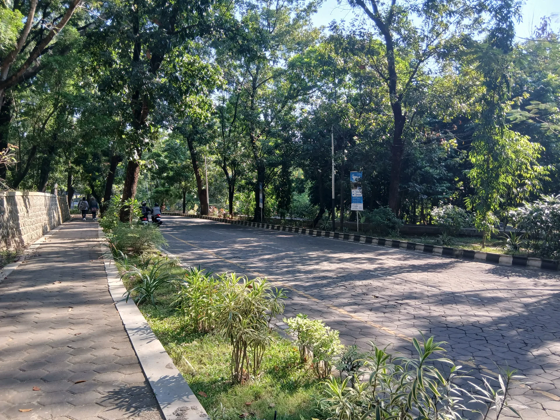 Afternoon Stroll at Campus
