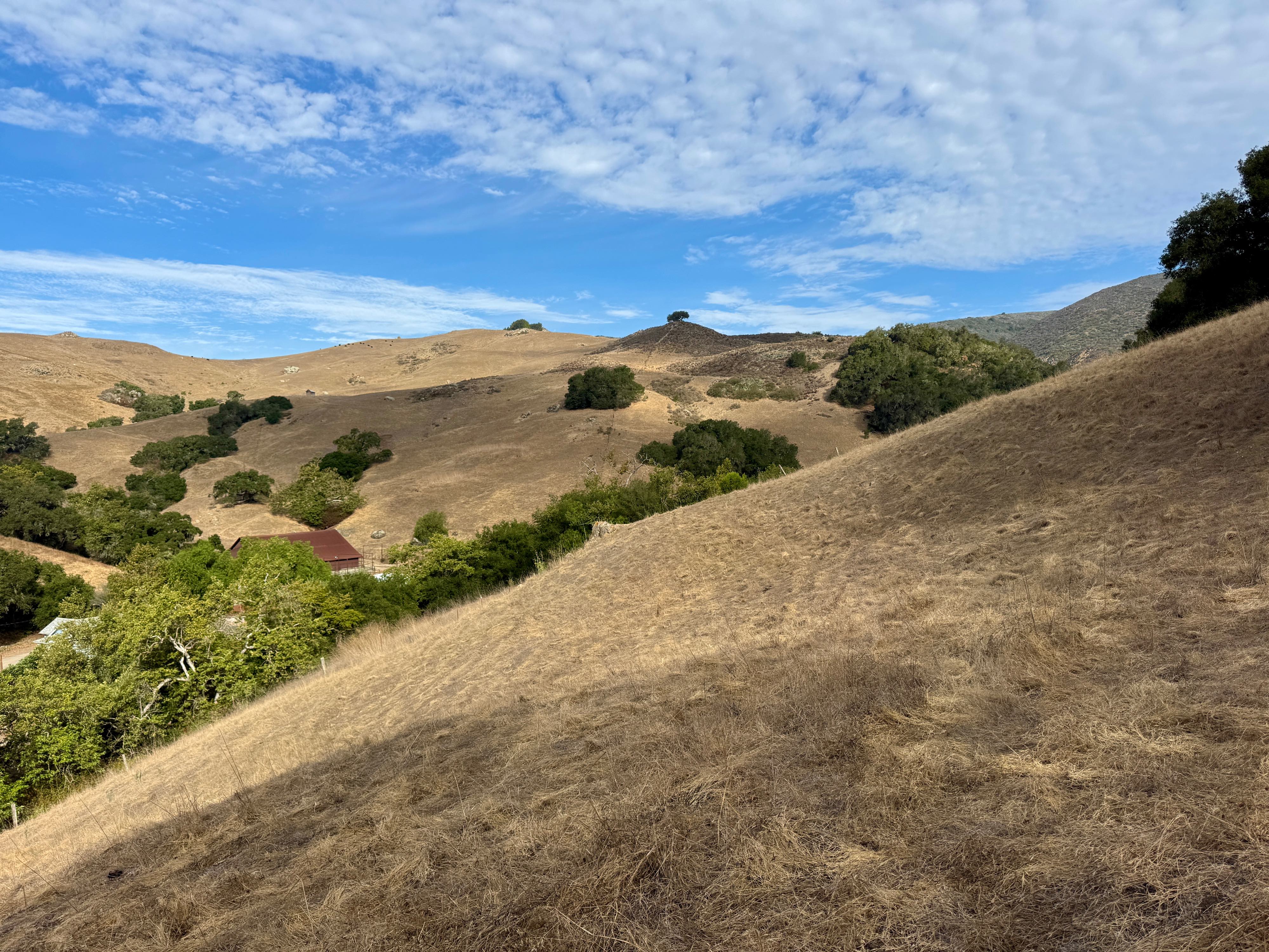 A hike through rolling hills of Johnson Ranch in San Luis Obispo. The hills are shades of gold, tan and brown with scattered patterns of oak trees. The morning clouds are in the process of dissipating, leaving patches of sun and shadows on the hills, a delightful play on light. The sky is blue with mottled clouds.