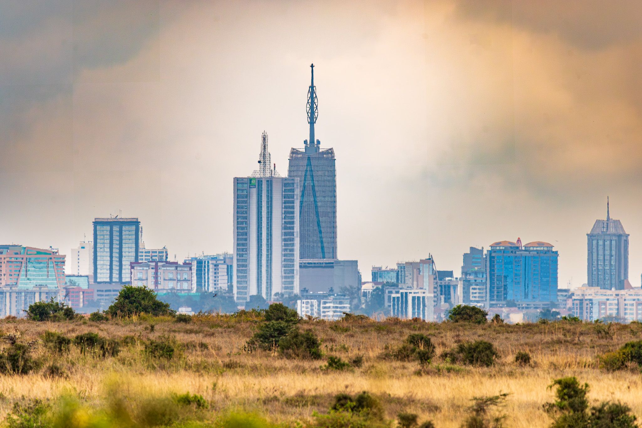 City skyline of Nairobi, Kenya, seen over golden savanna grassland and green bushes. The Britam Tower is the tallest building, centered under an overcast, warm-toned sky.
