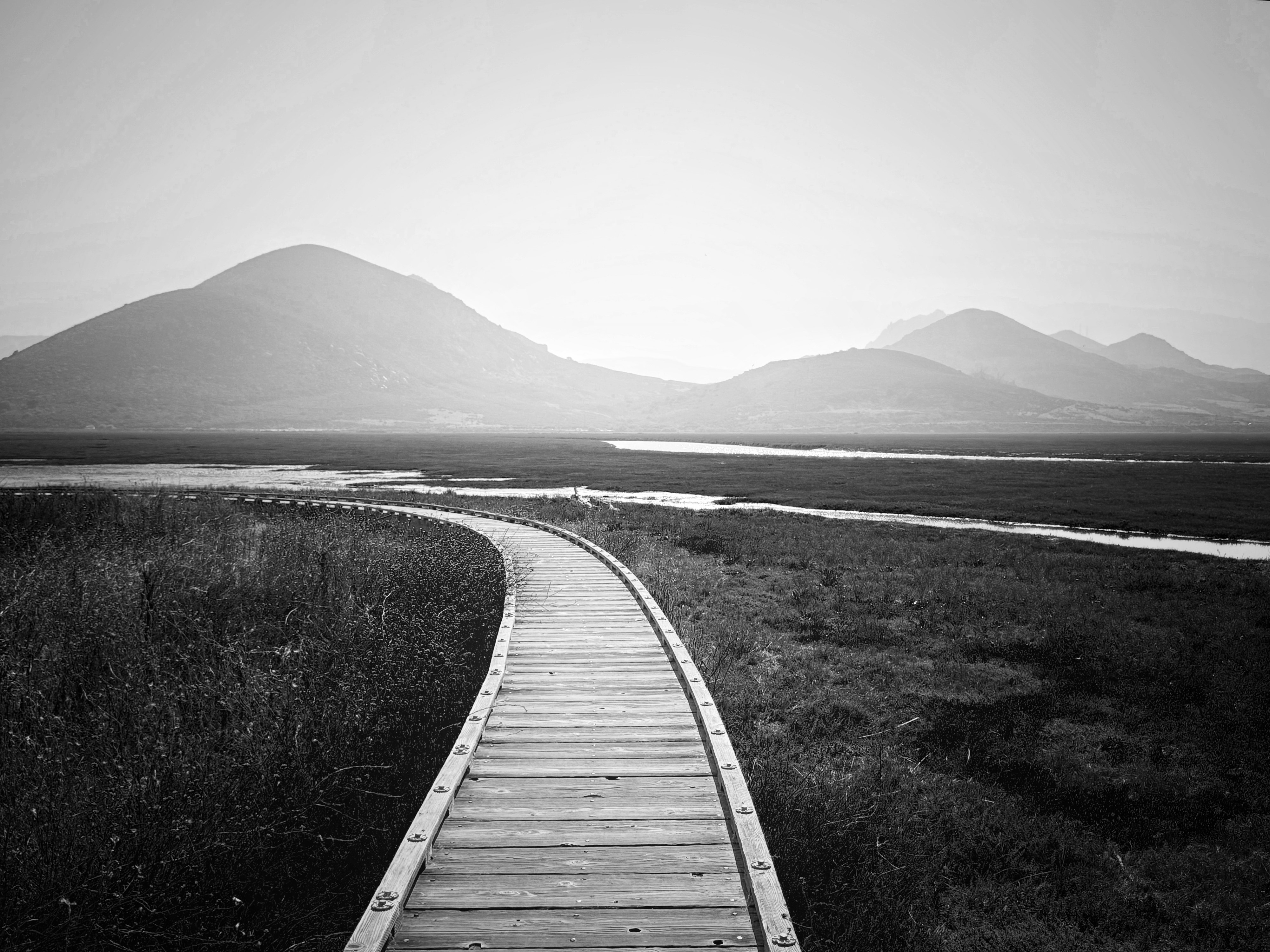 Black and white image of Morro Bay Estuary in California. A boardwalk allows people to walk out and over the estuary to observe the wildlife, vegetation and scenery. The boardwalk in the image begins in the center foreground then curves to the left out of view. There are inlets of undulating water that have made their way deep into the estuary. Undulating grass and vegetation cover the rest of the estuary. It's a slightly foggy morning, and the undulating layers of hills in the background and distance are varying shades of grey.